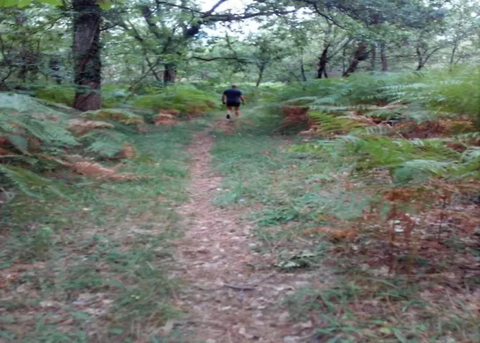 Дом отдыха In With Whirlpool Bourgnac